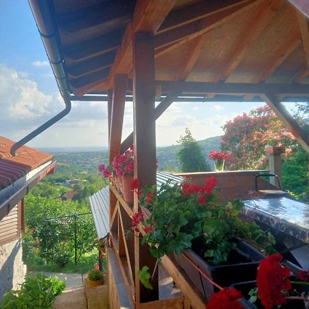 Apartment Noletov Vidikovac Врднік Екстер'єр фото
